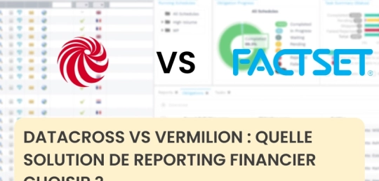 Datacross vs Vermilion : Quelle solution de reporting financier choisir ?