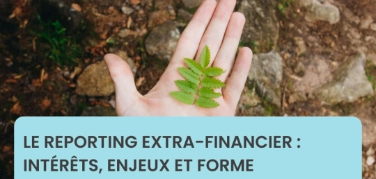 Le reporting extra-financier : intérêts, enjeux et forme