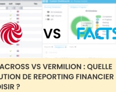 Datacross vs Vermilion : Quelle solution de reporting financier choisir ?