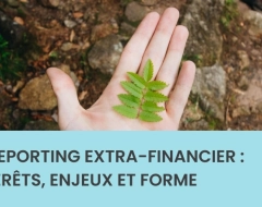 Le reporting extra-financier : intérêts, enjeux et forme